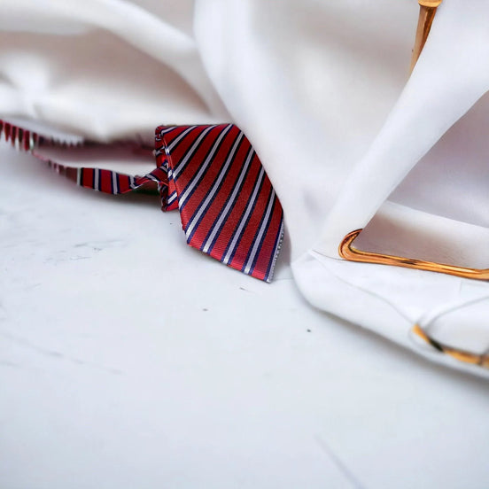 Cravate de costume, cravate notaire homme, cravate rayures soie K - Roaring 20s Paris