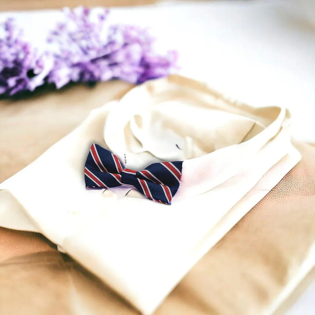 Noeud papillon de costume, idée accessoire vêtement Z, peaky blinders - Roaring 20s Paris